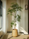 Peacock Wood Artificial Green Plant Living Room Decoration Ornament Fake Tree Large Floor-Standing Potted Plant High-End Light Luxury Vintage Atmosphere