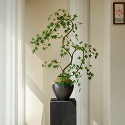 Flowing Spring Maple Artificial Green Plant Fake Flower Zen-Inspired New Song-Style Tea Room Decoration Entrance Ornament High-End Small Bonsai
