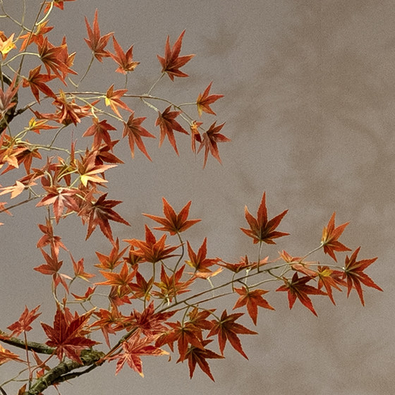 Red Flowing Water Maple Artificial Green Plant High-End Light Luxury New Chinese Style Zen Tea Room Decoration Entrance Small Fake Flower Potted Plant