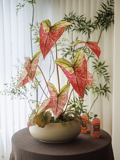 Haohong Jingpin Pepper Mint Artificial Flower Colorful Taro Leaves High-End Living Room Fake Plant Decoration French-Style Entrance Bonsai