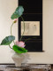 Artificial Lotus Flower Potted Plant with a High-End, Realistic Feel, Suitable for Entryway, Tea Room, Song Dynasty Aesthetic Decoration, Wabi-Sabi Style for Living and Dining Rooms