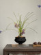 Simulated Orchid Bonsai, Artificial Flowers, High-End and Realistic, Desktop Decoration, Entrance Hall, Tea Room, New Chinese Style, Song Dynasty Aesthetics