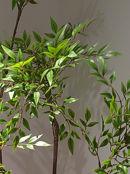 High-End Luxury Artificial Green Plant, Artificial Bamboo, Indoor Living Room Faux Flower, Large Floor-Standing Potted Plant