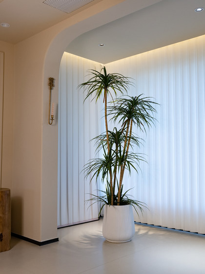 Haohongjingpin Dragon's Blood Tree Artificial Green Plant, High-End Light Luxury Indoor Living Room, High-Class Large Floor-Standing Potted Plant Decoration