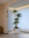 Haohongjingpin Dragon's Blood Tree Artificial Green Plant, High-End Light Luxury Indoor Living Room, High-Class Large Floor-Standing Potted Plant Decoration