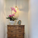 High-Quality Artificial Phalaenopsis Orchid with a Wet Look, Potted Plant Decoration, Faux Floral Arrangement, Light Luxury for the Living Room