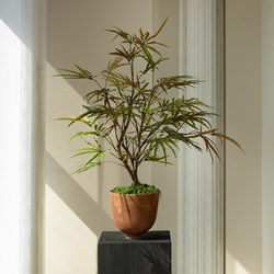 Colorful Gradient Peacock Wood Fortune Tree, Artificial Green Plant, High-End Decorative Ornament, Fake Flower, Small Potted Plant, Vintage Tea Room