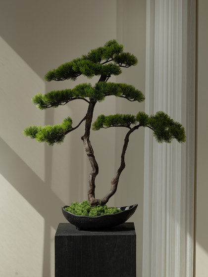 Pine Tree Bonsai Artificial Green Plant Ornament, High-End Realistic Chinese-Style Entrance Hall Tea Room Light Luxury Decoration, Song Dynasty Aesthetics