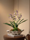 Artificial Orchid Bonsai Fake Decoration, Light Luxury High-End Entrance Hall Tea Room Ornament, Antique Style Song Dynasty Aesthetic Decoration for Tabletop