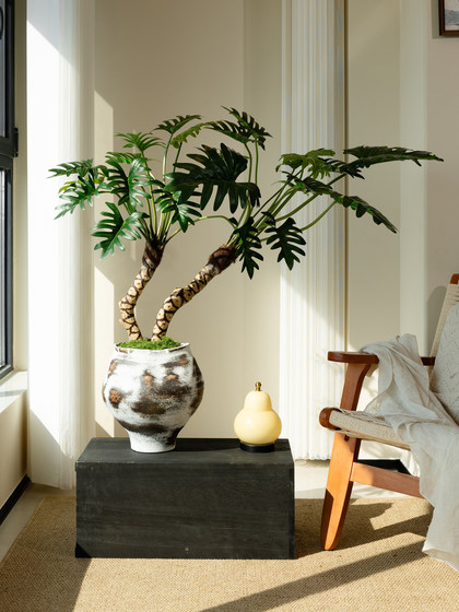Dragon Scale Angel Artificial Green Plant, High-End Light Luxury Living Room Indoor Artificial Flower, Spring Feather Tea Room Atmosphere Vintage Decoration