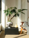 Dragon Scale Angel Artificial Green Plant, High-End Light Luxury Living Room Indoor Artificial Flower, Spring Feather Tea Room Atmosphere Vintage Decoration