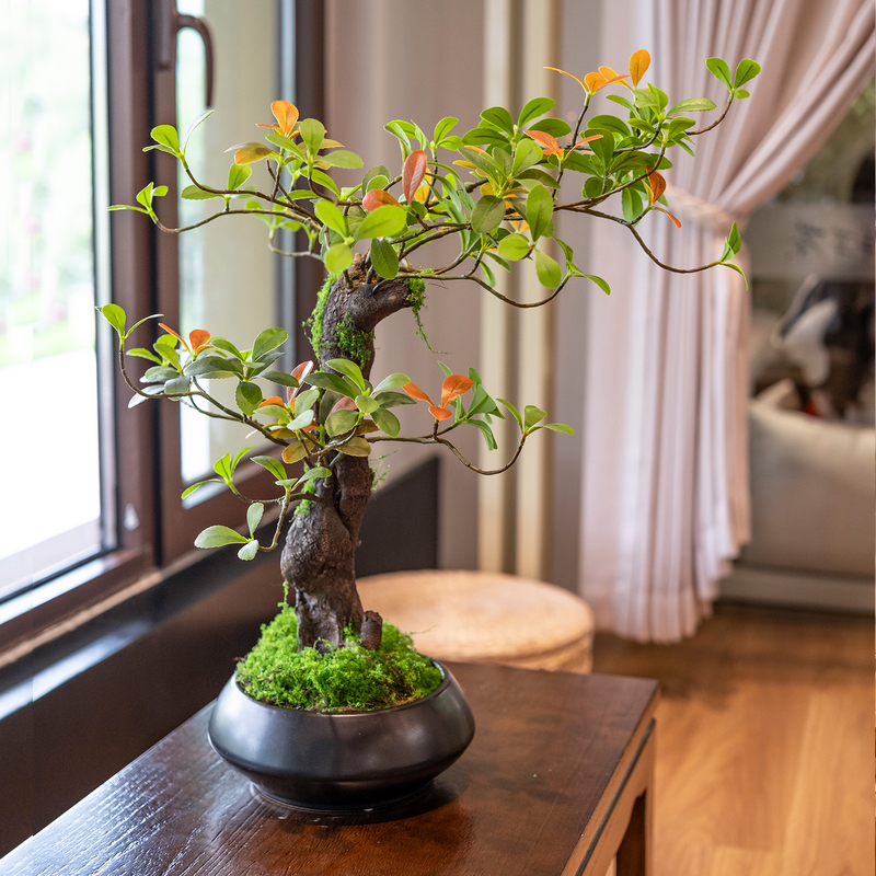 Haohong Jingpin Island Spring Flower Artificial Green Plant High-End Light Luxury Living Room Entrance Ancient Tree Potted Plant Indoor Zen Ornament