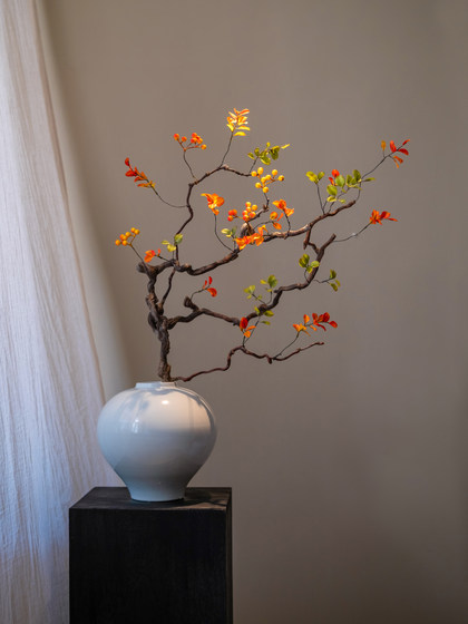 Wabi-Sabi Style Mountain Return Sour Dragon Jujube Branch Artificial Flower Arrangement High-End Realistic Entrance Hall Chinese Zen Decoration