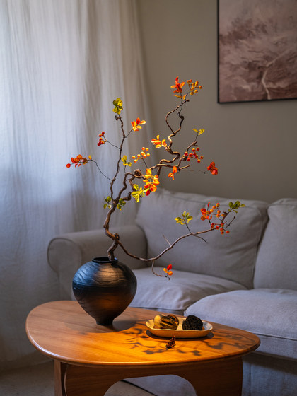 Simulated Green Plants from Haihongjingpin Mountain, Light Luxury High-End Living Room Dining Table Tea Room Decoration, Wabi-Sabi Style Zen Ornaments