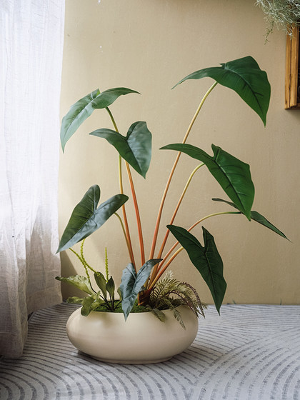 Haihong Scenery Simulated Green Plants with Glue Color Taro Leaves, Classy Accessible Luxury and Classy Living Room Dining Table Bionic Green Plants