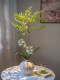 Haihong Scenery Simulated Green Plant Landscaping High-End Realistic Fake Plant Living Room Dining Table Tv Cabinet Nandina Bamboo Ornaments