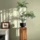 Jacaranda Artificial Green Plant, High-End Light Luxury Chinese Zen Style Desktop Plant, Small Potted Plant, Entrance Hall Fake Flower Decoration