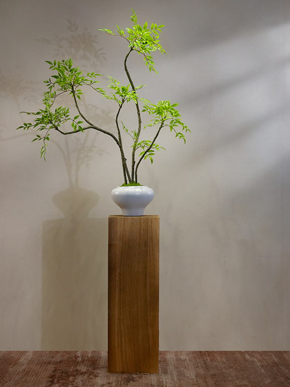 Nantian Bamboo Artificial Green Plant, High-End Traditional Chinese Style, New Chinese Style Tea Room Decoration, Bamboo Tabletop Entrance Hall Ornament, Bonsai