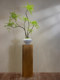Nantian Bamboo Artificial Green Plant, High-End Traditional Chinese Style, New Chinese Style Tea Room Decoration, Bamboo Tabletop Entrance Hall Ornament, Bonsai