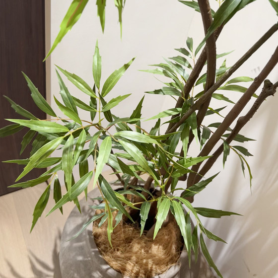 Top Ten Artificial Green Plants, High-End Light Luxury Fake Flowers, High-Class Indoor Living Room Large Floor-Standing Simulated Potted Plants