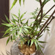 Top Ten Artificial Green Plants, High-End Light Luxury Fake Flowers, High-Class Indoor Living Room Large Floor-Standing Simulated Potted Plants
