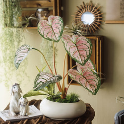 High-End Luxury Artificial Green Plant with Colorful Taro Leaves for Living Room, Entrance, Dining Table, and Mid-Century Style Decor