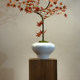 Red Flowing Water Maple Artificial Green Plant High-End Light Luxury New Chinese Style Zen Tea Room Decoration Entrance Small Fake Flower Potted Plant