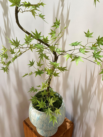 Liquan Maple Simulated Green Plants, High-End Living Room, New Chinese Zen Tea Room, Entrance Cabinet, Landscaping Decorative Potted Ornaments