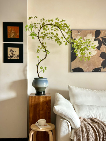 Flowing Spring Maple Artificial Green Plant High-End Ancient Style New Chinese Style Fake Flower Tea Room Decoration Zen Entrance Small Bonsai Ornament
