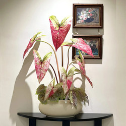 Haohong Jingpin Pepper Mint Artificial Flower Colorful Taro Leaves High-End Living Room Fake Plant Decoration French-Style Entrance Bonsai