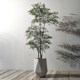 Artificial Green Plant, Nandina Bamboo Plant Decoration, Large Fake Tree, Living Room Floor-Standing Potted Plant Ornament, Nordic Bonsai