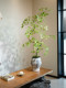 Artificial Maple Greenery and Flowers in a Modern Song-Style Aesthetic for Tea Room Decoration, High-End Entryway Ornament, and Luxurious Bonsai