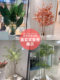 Traveler's Banana Tree Artificial Green Plant Large Nordic Indoor Living Room Floor-Standing Potted Plant Decoration Plant Fake Tree Landscaping