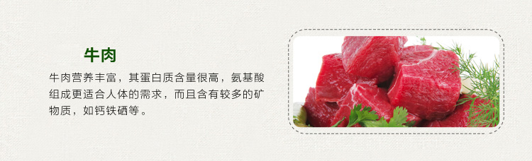Minghao Club 20kg40 kg con chó trưởng thành con chó thức ăn cho chó Tha Mồi Vàng thức ăn cho chó Husky cạnh chăn nuôi chung dog staple thực phẩm thức an cho chó con