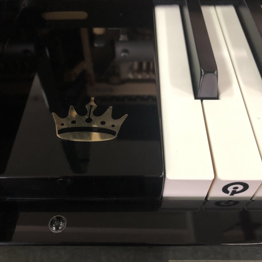 Đức nhập khẩu đàn piano Wilh steinberg William Stanburg Steinberg IQ24 vương miện - dương cầm yamaha ydp