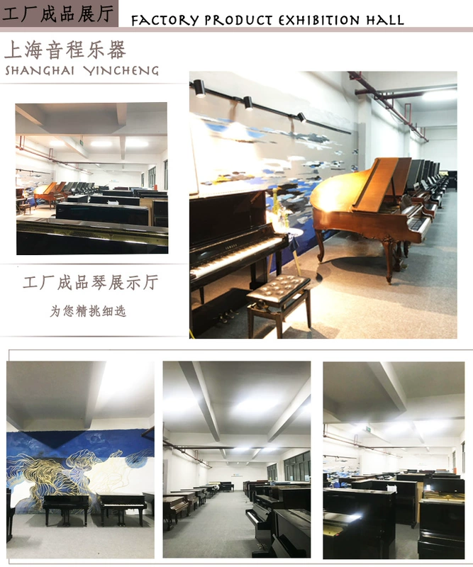 Đức nhập khẩu đàn piano Wilh steinberg William Stanburg Steinberg IQ24 vương miện - dương cầm