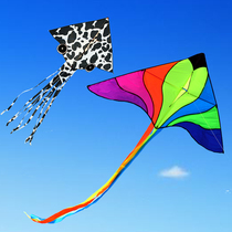 Kite edge kite Weifang kite colorful Phoenix kite flying Phoenix kite triangle kite big snake octopus kite