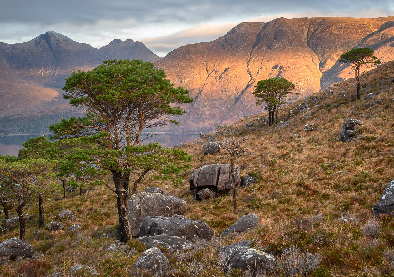 Landscape Scenery Class Great Painting Art Microspray Collection Grade Art Output Print Flush Hanemler Acid-free Paper