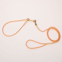 Pet Traction Rope Race Training Dog Walking Dog P Chain Sub 5 mm gold wool side Shepherd small and medium dog explosion-proof punching collar