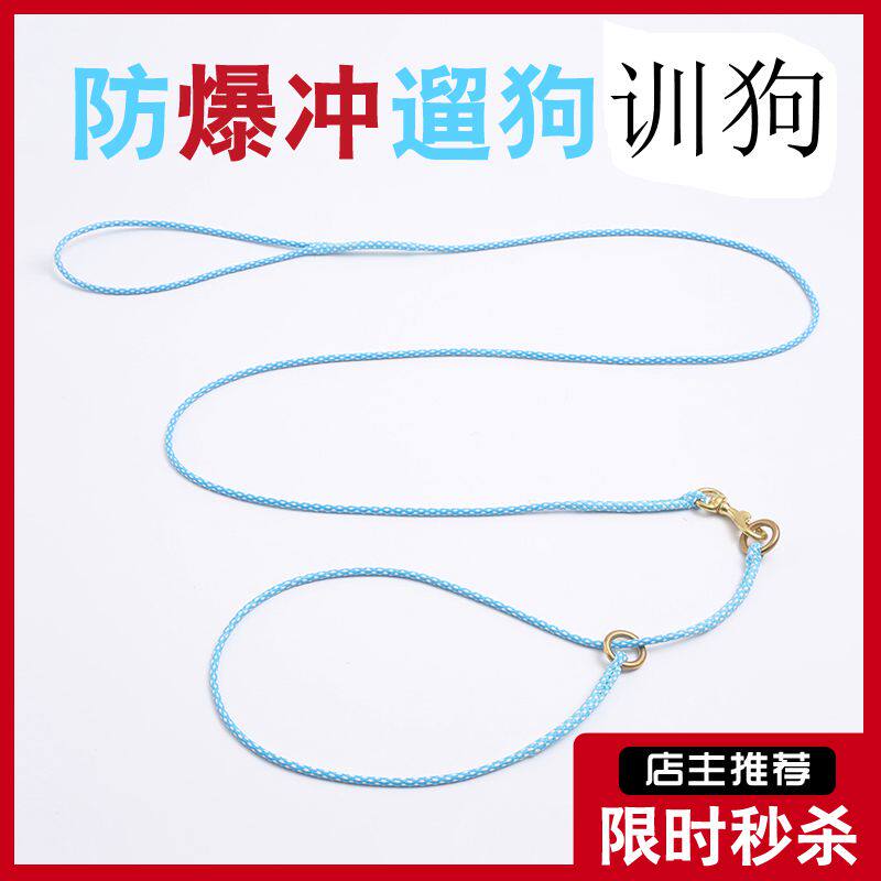 Pet dog traction rope dog chain hand-woven p chain walking dog small and medium dog competition training dog walking dog special