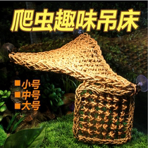 Normor Grand climbing Climbing Bed Green Hyena Reptile Lizard Triangle Seagrass Hammock suction cup Sucker Glass Cylinder Rainforest Vat Special