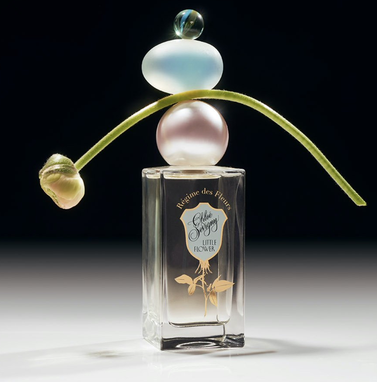 American Generation REGIME DES FLEURS little flower small crowdsourced permalink