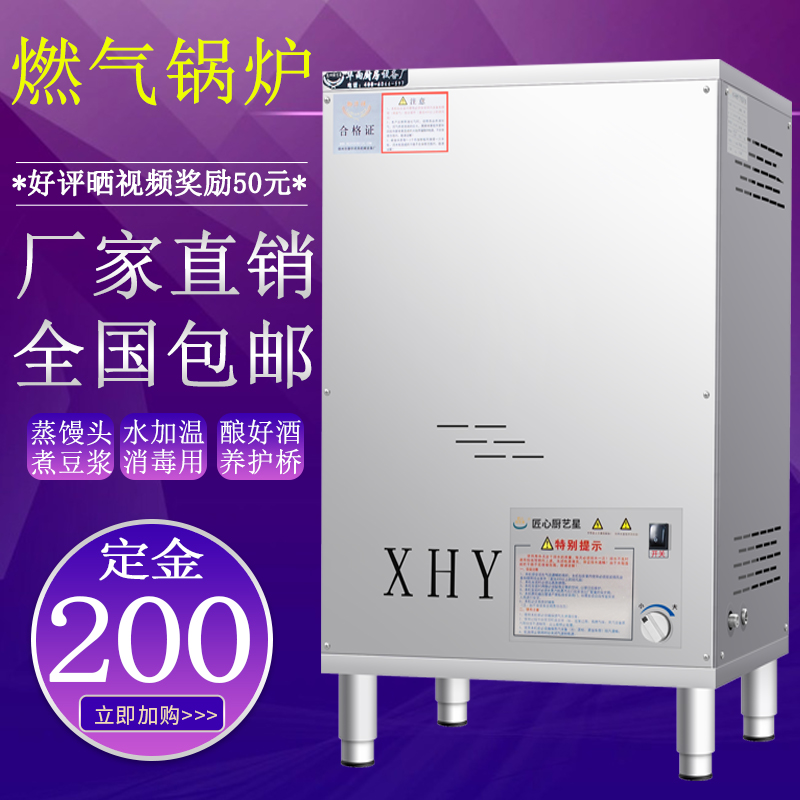 Gas steam generator steamed steam