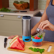 US ZingAnything manual Citrus upgrade Aqua Zinger juice stainless steel lemon Cup