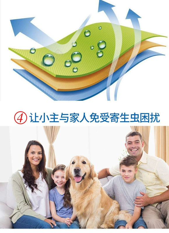Dog 蜱 Thuốc trị bọ chét trong ống nghiệm diệt giun trong ống nghiệm ngoài việc nhảy ve để phun đờm bên ngoài - Cat / Dog Medical Supplies các loại vật tư y tế cho thú cưng