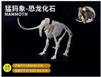 Fast Box Fast Rogue Fossil (модель сборки) (цена очистки)