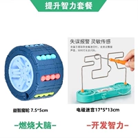 Головоломка волшебного колеса+электрический дворец