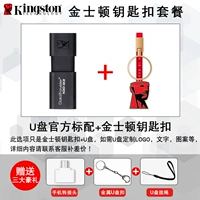DT100-256G + 【Kingston Keychain】