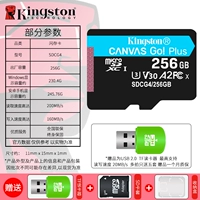 Синяя маленькая карта стандарта SDCG4/256G [карта 4-го поколения]