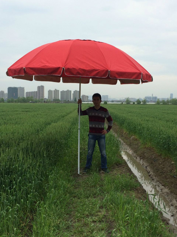 Outdoor Parasol Beach Umbrella 3.2m Extra Large Windproof Double-Layer Fabric Sun Umbrella for Stalls Large Umbrella Courtyard Rain Umbrella